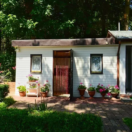 ロッジ Letniskowe U Gosi